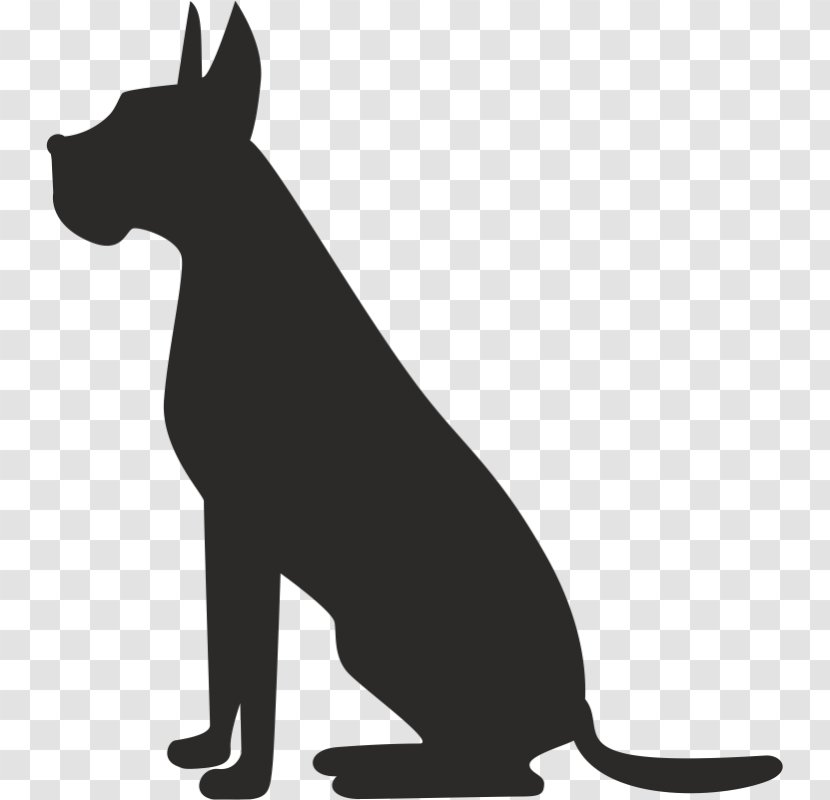Pet Sitting Dog Grooming Cat - Hunting Transparent PNG
