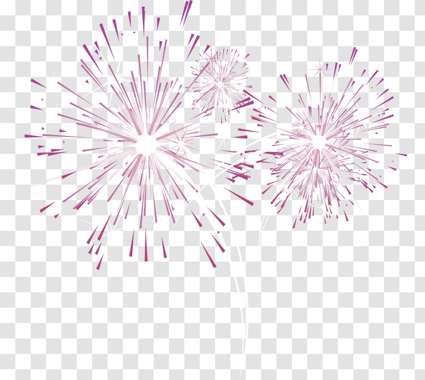 Fireworks Purple - Color - Fresh Effect Elements Transparent PNG