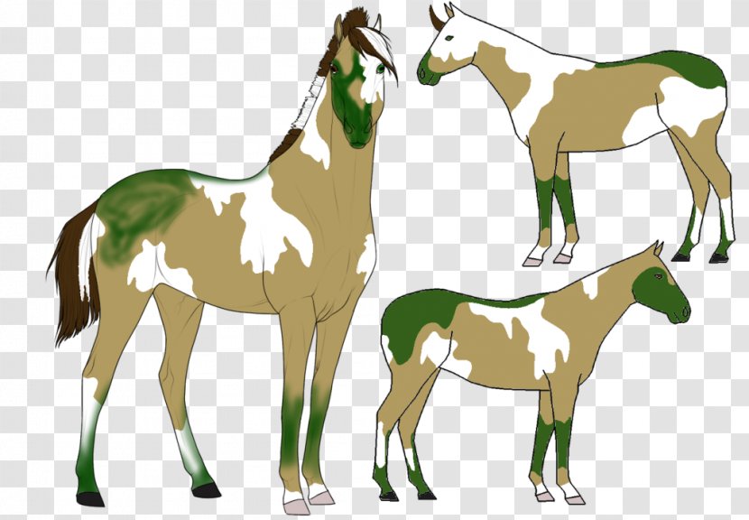 Foal Mustang Stallion Colt Mare - Character Transparent PNG