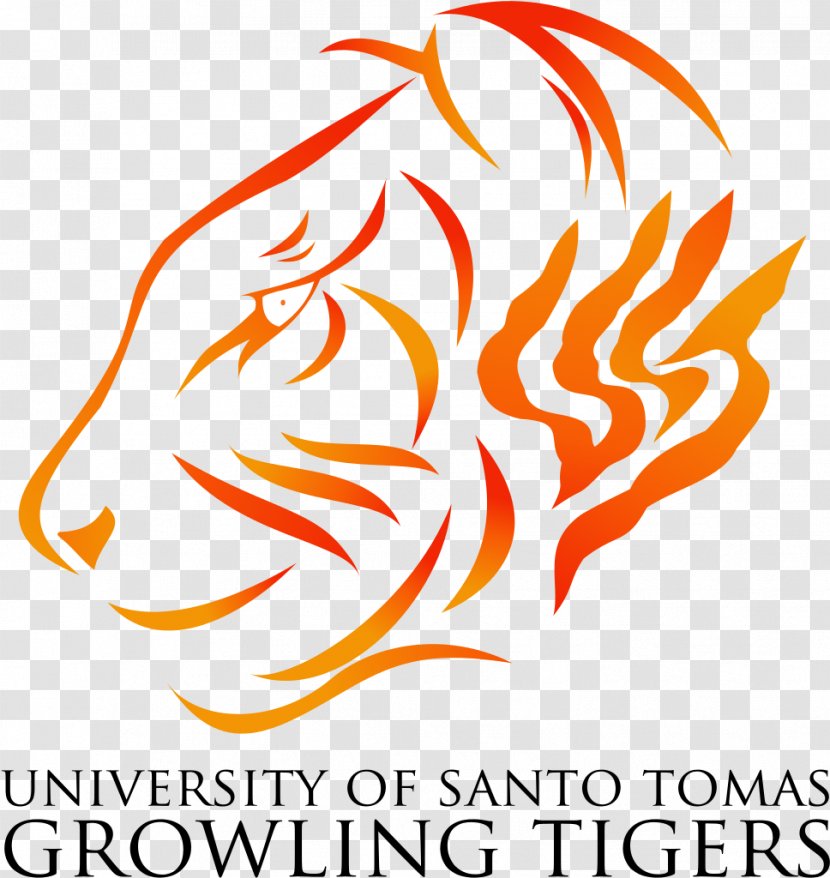 UST Growling Tigers Men's Basketball Alfredo M. Velayo College Of Accountancy Drawing - Orange - University Santo Tomas Transparent PNG