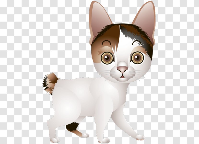 Kitten Japanese Bobtail Whiskers Domestic Short-haired Cat Havana Brown Transparent PNG