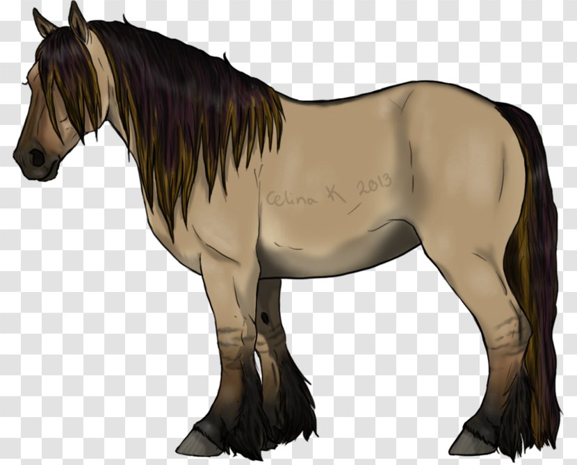 Mustang Foal Stallion Mare Colt - Halter Transparent PNG