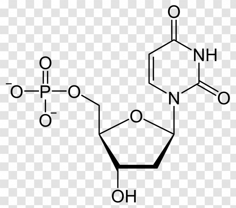 Deoxyuridine Monophosphate Adenosine Uridine Diphosphate - Heart - Thymidine Transparent PNG