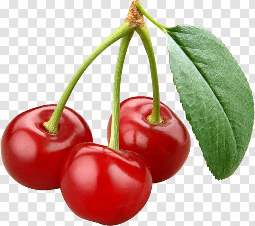 Bing Cherry Fruit Berry - Tree Transparent PNG