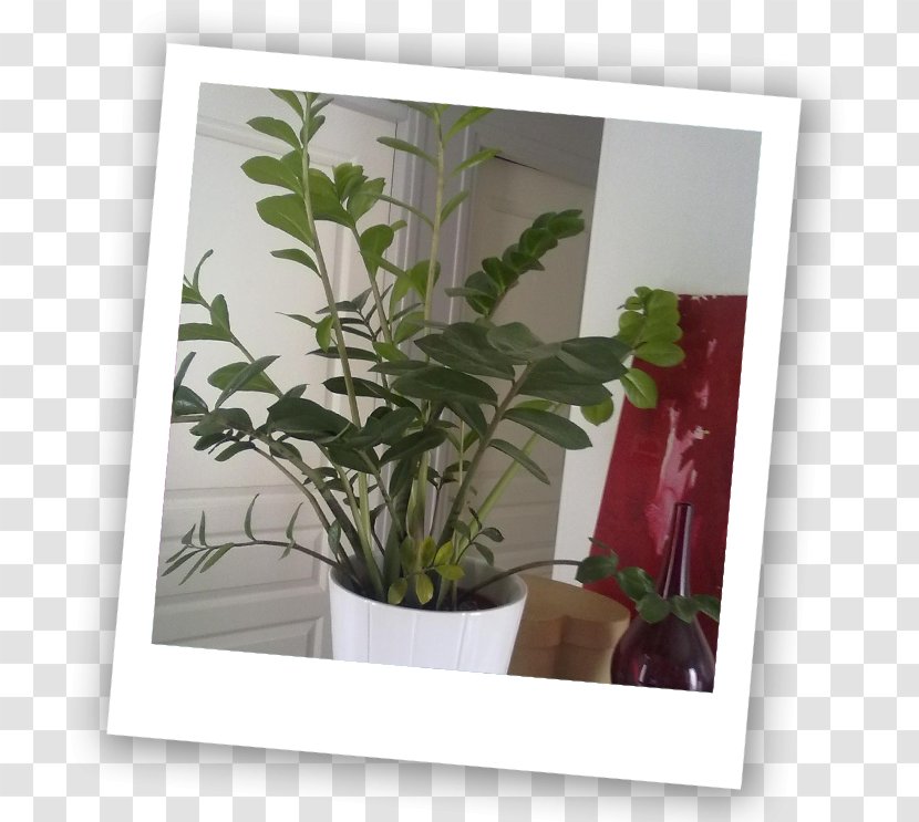 Window Flowerpot Leaf Houseplant Herb - Tree Transparent PNG
