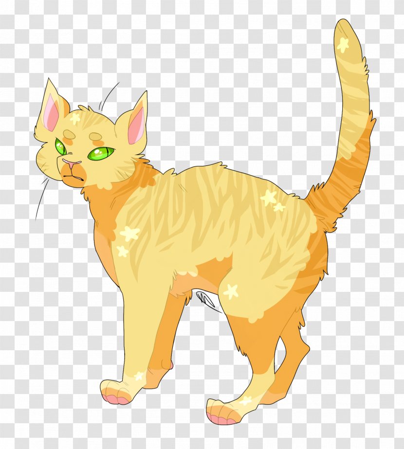 Whiskers Kitten Tabby Cat Domestic Short-haired - Short Haired Transparent PNG