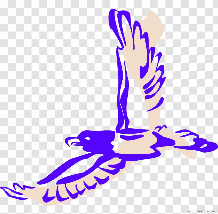 Hawk Eagle Vulture - Frame - Blue Stick Figure Transparent PNG