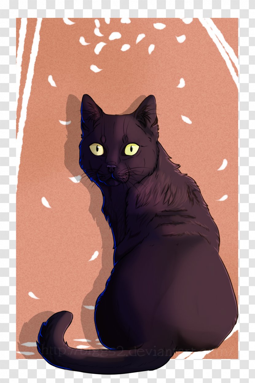 Havana Brown Black Cat Kitten Whiskers Domestic Short-haired - Vertebrate Transparent PNG