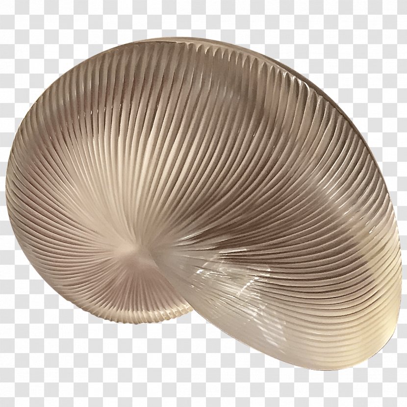 Cockle Nautilida - Clear Glass Transparent PNG