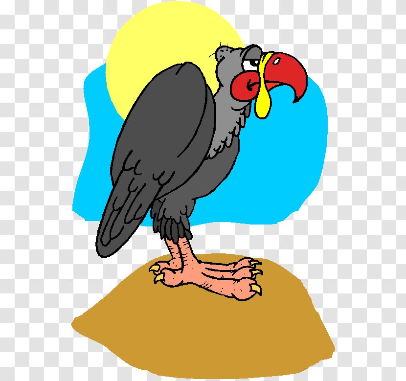 Eagle Bird - Condor - Wing Falconiformes Transparent PNG
