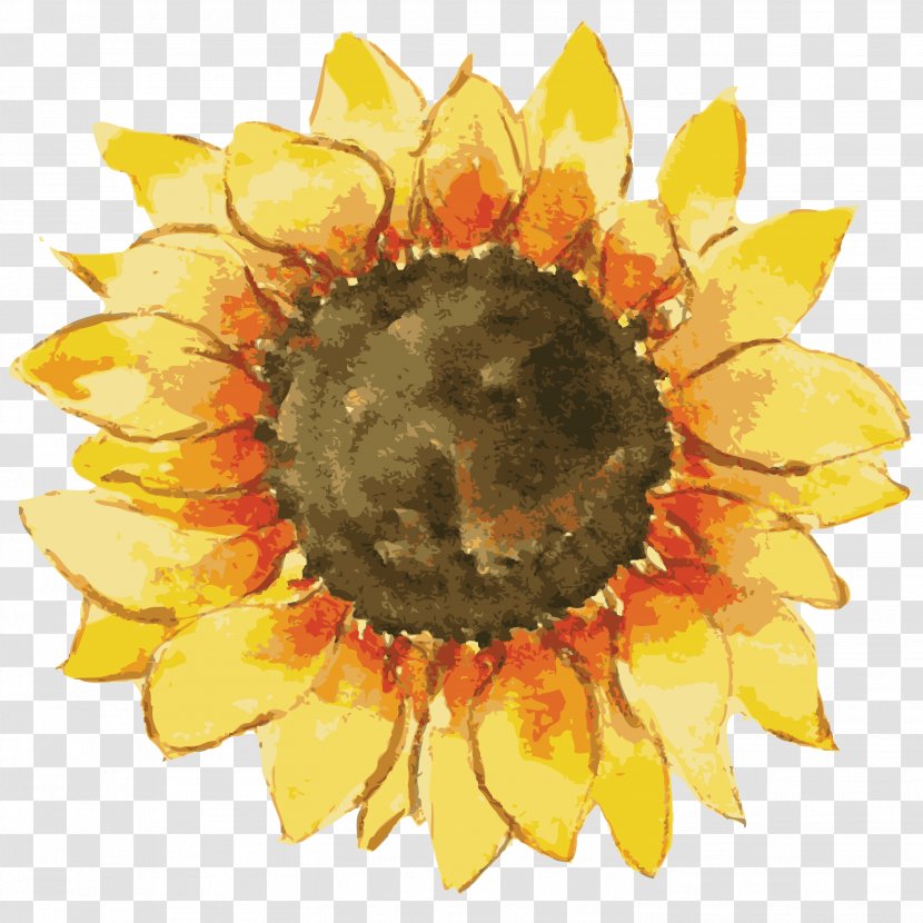 Common Sunflower Gift Pin-back Button Zazzle Transparent PNG