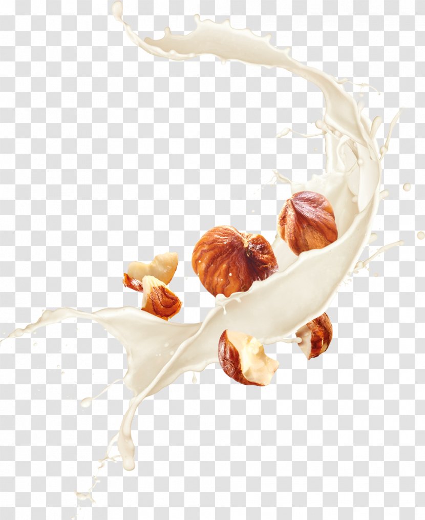 Almond Milk Latte Hazelnut Food Transparent PNG