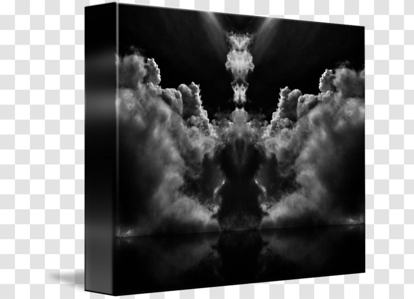 Still Life Photography Desktop Wallpaper Stock - Flower - Abstract Cloud Transparent PNG