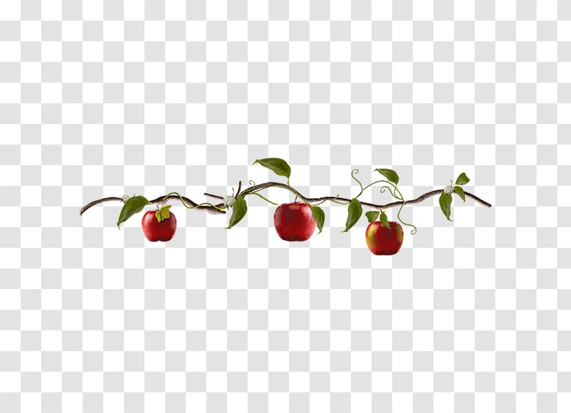 Apple Fruit Clip Art - Creative Tree Transparent PNG