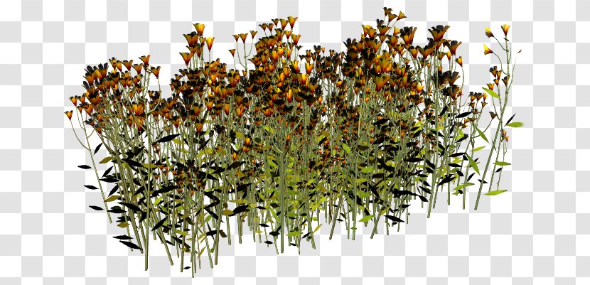 PhotoScape GIMP Clip Art - Flower - Flowers Grass Transparent PNG