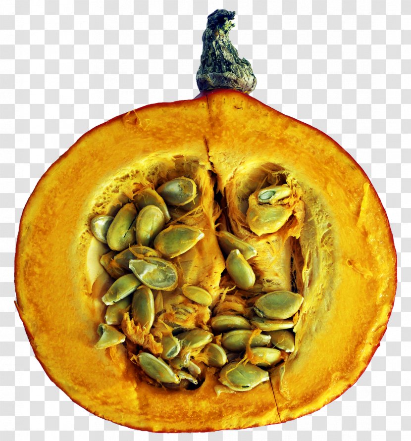 Vegetable Pumpkin Pie Cucurbita Food Transparent PNG