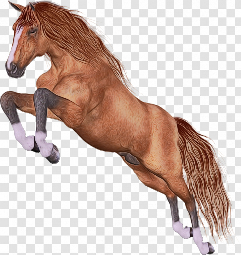 Horse Animal Figure Sorrel Mane Stallion Transparent PNG