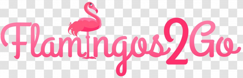 Swimming Pool Graphic Design Flamingo, Costa Rica - Pink - Flamingos Transparent PNG