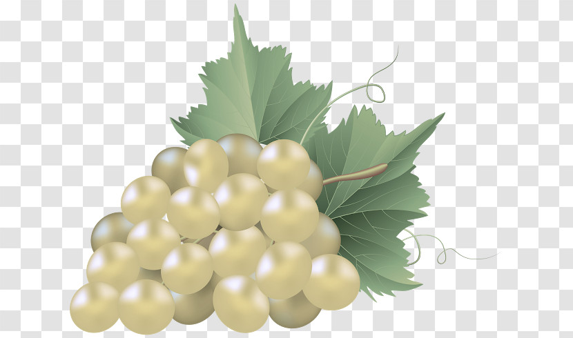 Grape Leaf Grapevine Family Grape Leaves Plant Transparent PNG