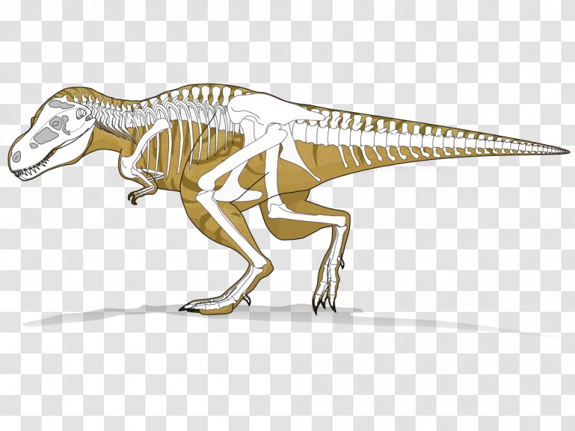 Tyrannosaurus Dinosaur Velociraptor Radiometric Dating Tarbosaurus - Carnivore Transparent PNG