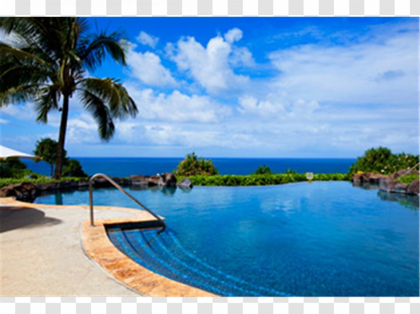 The Westin Princeville Ocean Resort Villas Hotels & Resorts Swimming Pool - Palm Tree - Hotel Transparent PNG