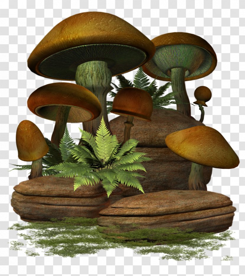 Edible Mushroom Fungus Common Clip Art - Drawing Transparent PNG