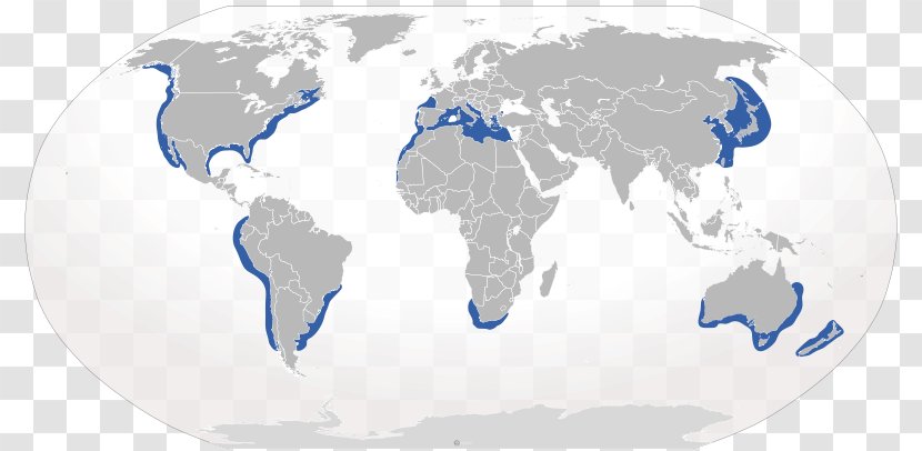 World Map Robinson Projection - Bull Shark Transparent PNG