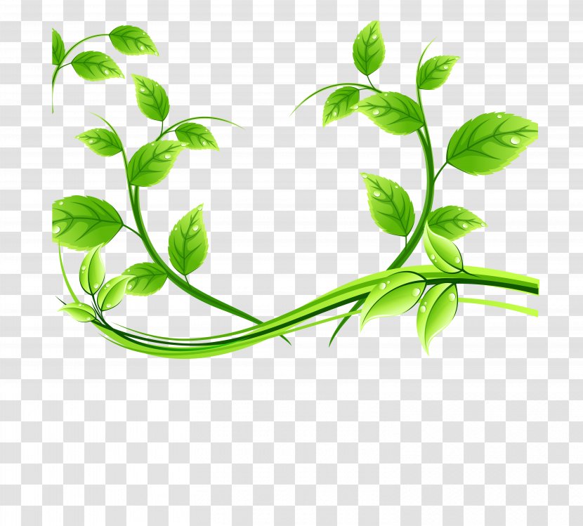 Green Tea - Leaf Transparent PNG