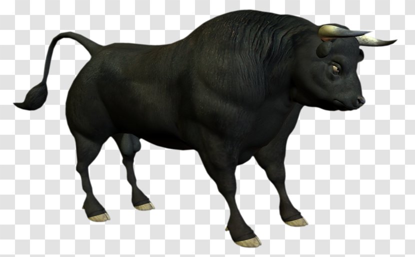 Angus Cattle Clip Art - Terrestrial Animal - Funny Transparent PNG