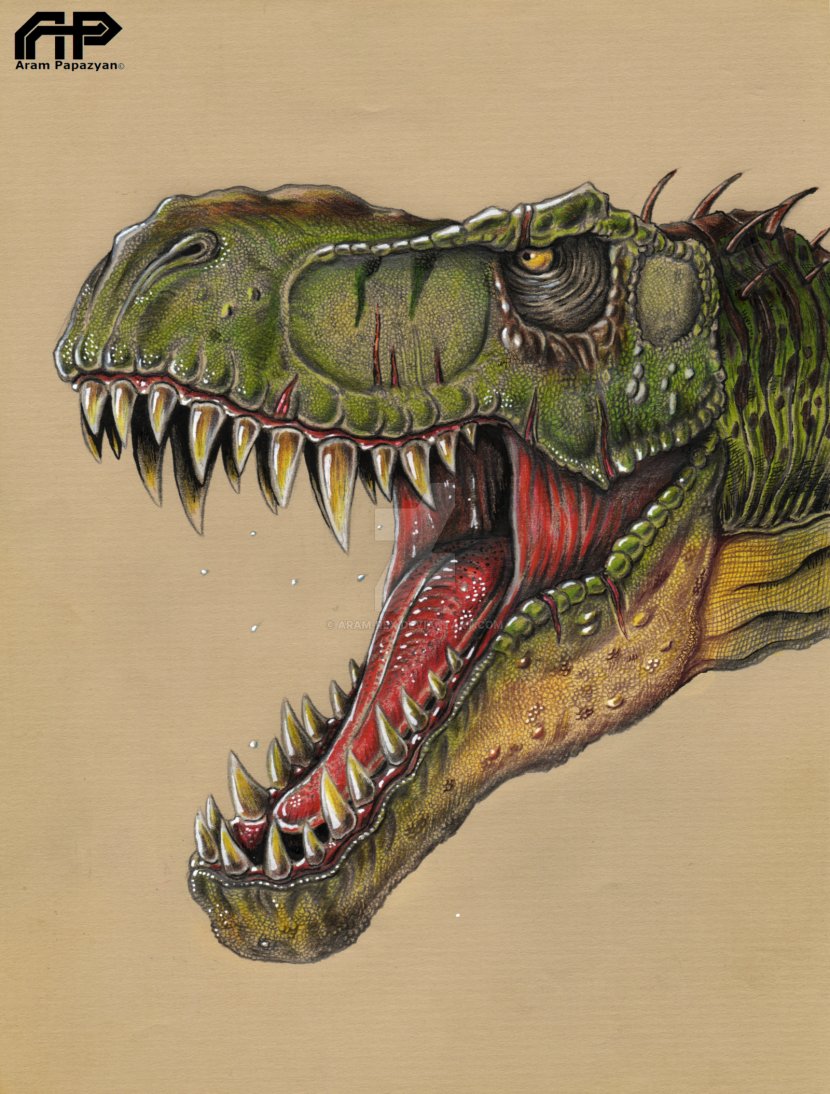 Tyrannosaurus Spinosaurus Velociraptor Dinosaur Drawing - Crocodile - T Rex Transparent PNG