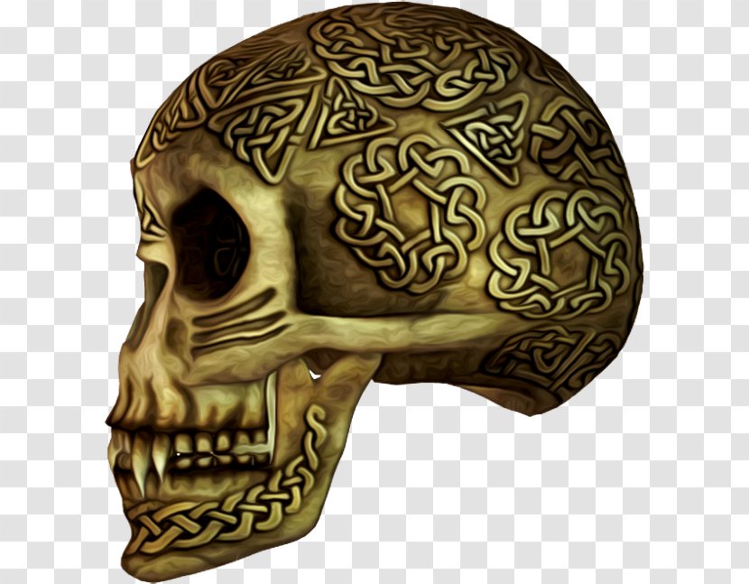 Skull Calavera Skeleton Bone - Homo Sapiens - Metal Transparent PNG