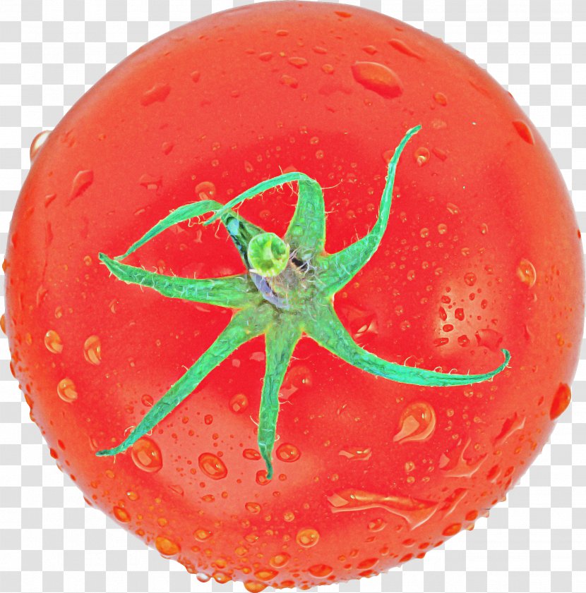 Tomato Cartoon - Solanum - Flying Disc Bouncy Ball Transparent PNG
