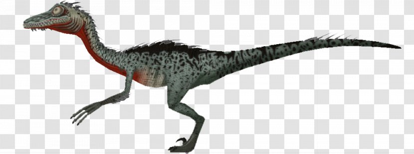 Velociraptor Animal - Extinction - Feather Transparent PNG