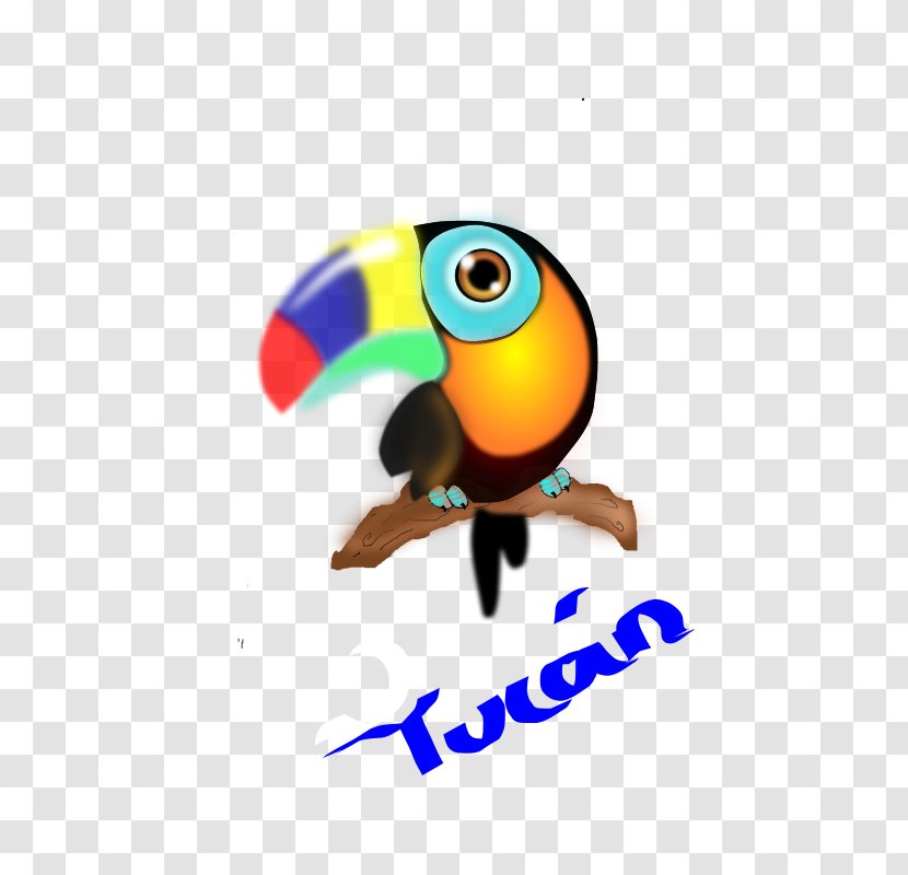 Keel-billed Toucan Beak Bird - Organism Transparent PNG