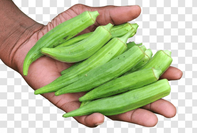 Okra Vegetarian Cuisine Goan Gumbo - Cucumber Transparent PNG