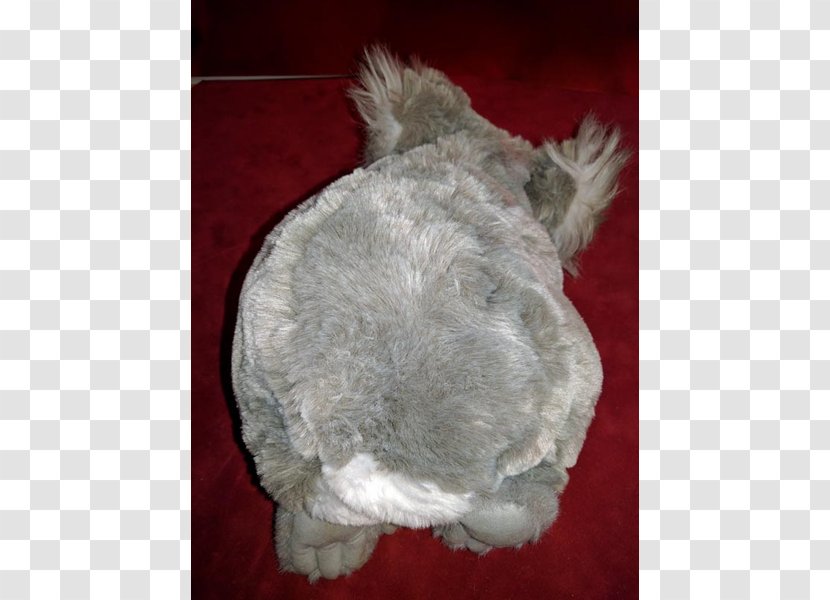 Dog Canidae Fur Snout Mammal Transparent PNG