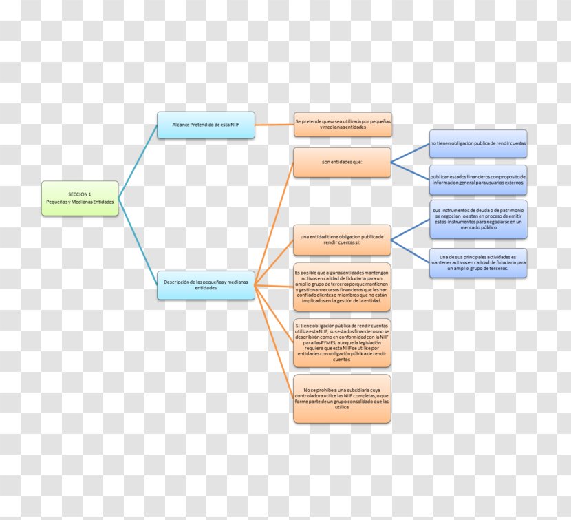 International Financial Reporting Standards Small And Medium-sized Enterprises Concept Map Business - Mind - Elas Transparent PNG