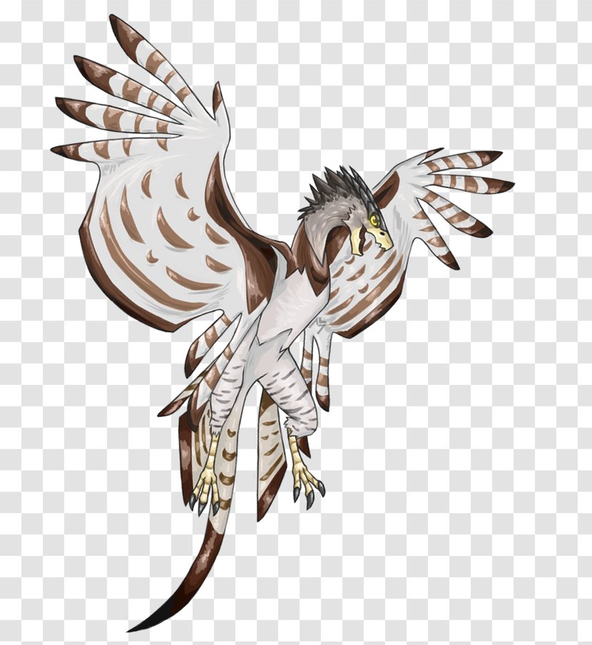Harpy Eagle DeviantArt - Feather Transparent PNG