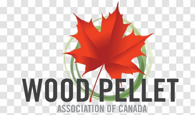 Canada Pellet Fuel Wood European Biomass Association Bioenergy Transparent PNG