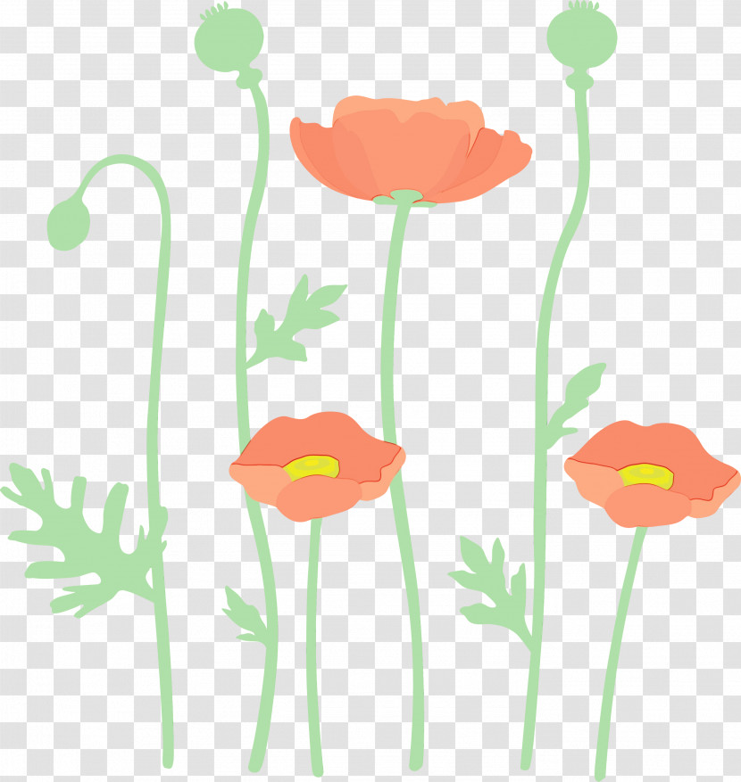 Plant Stem Flower Plant Pedicel Poppy Family Transparent PNG