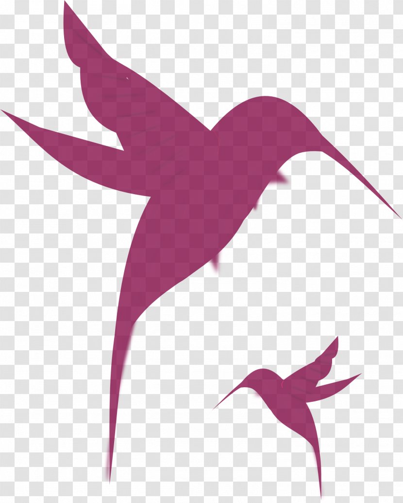 Hummingbird Silhouette Drawing Clip Art - Whitetailed Hillstar - Humming Bird Transparent PNG