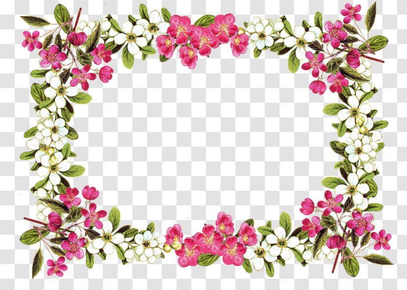 Flower Clip Art - Cut Flowers - And Vines Border Vector Material Collectio Transparent PNG