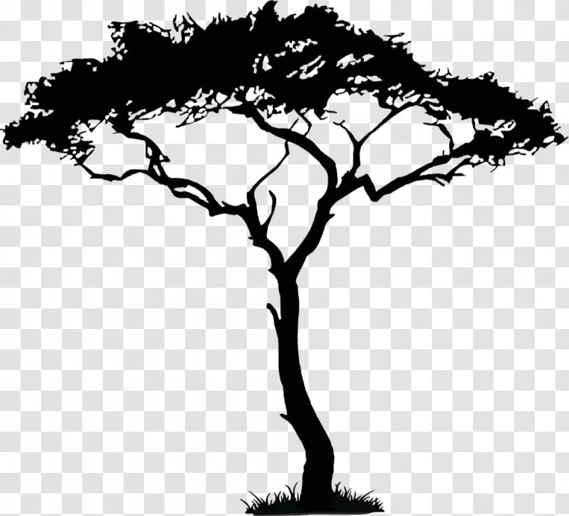 African Trees Clip Art - Black And White - Walnut Transparent PNG