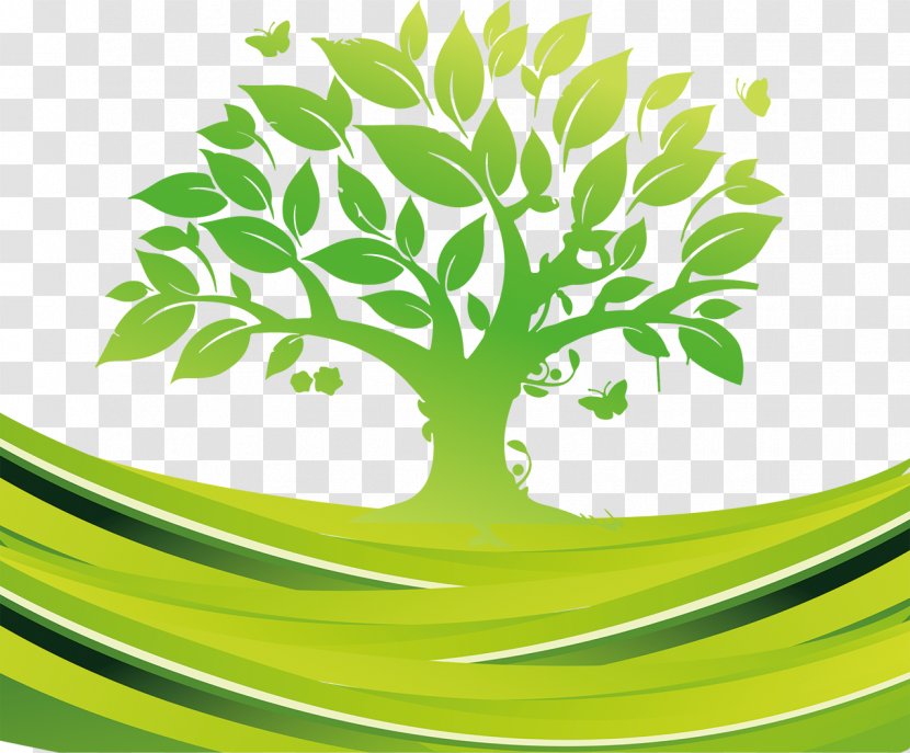 Exp Services Tree Euclidean Vector - Nature Transparent PNG