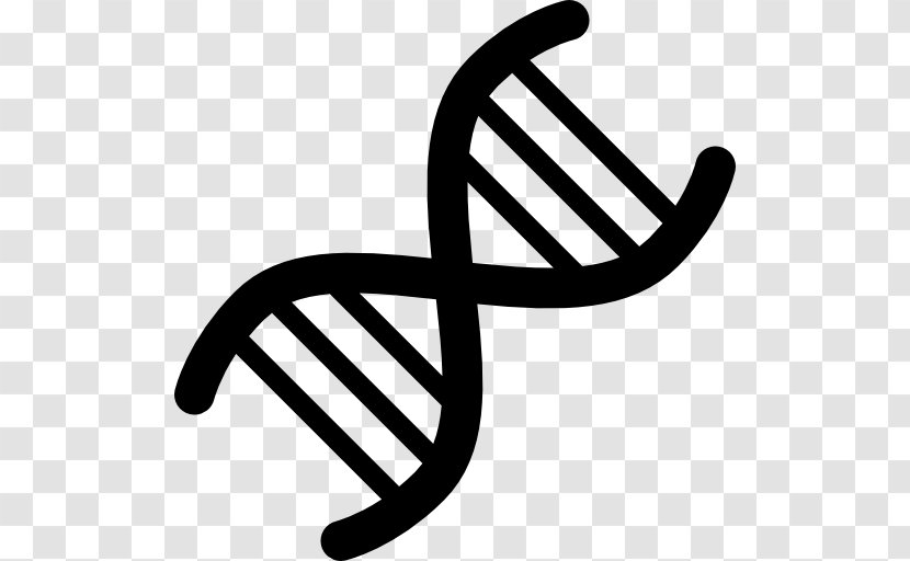 DNA Genetics - Nucleic Acid Double Helix - Vector Transparent PNG
