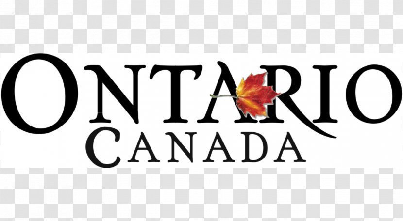 Business Logo Kawartha Trans Canada Trail Association Corporation Startup Company Transparent PNG