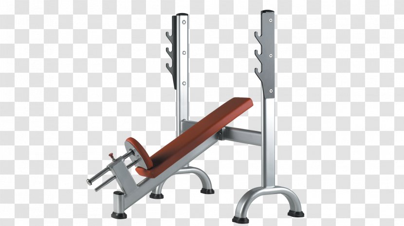 Bench Press Bank Fitness Centre Weight Training - Olympic Weightlifting - BENCHES Transparent PNG