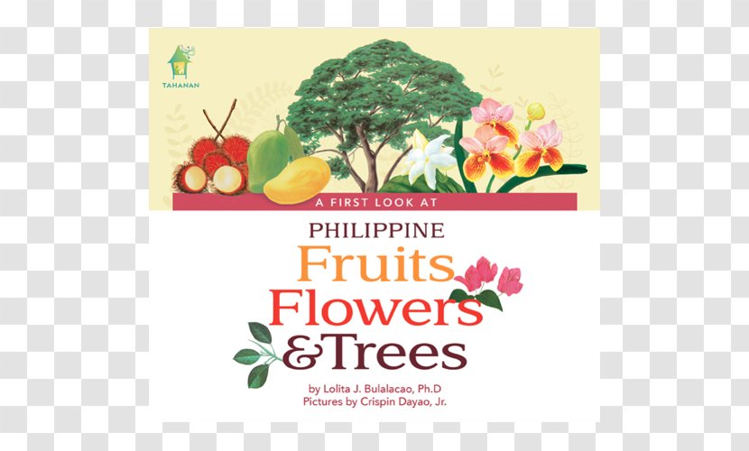 A First Look At Philippine Fruits Philippines Book Butterflies Floral Design - Superfood Transparent PNG
