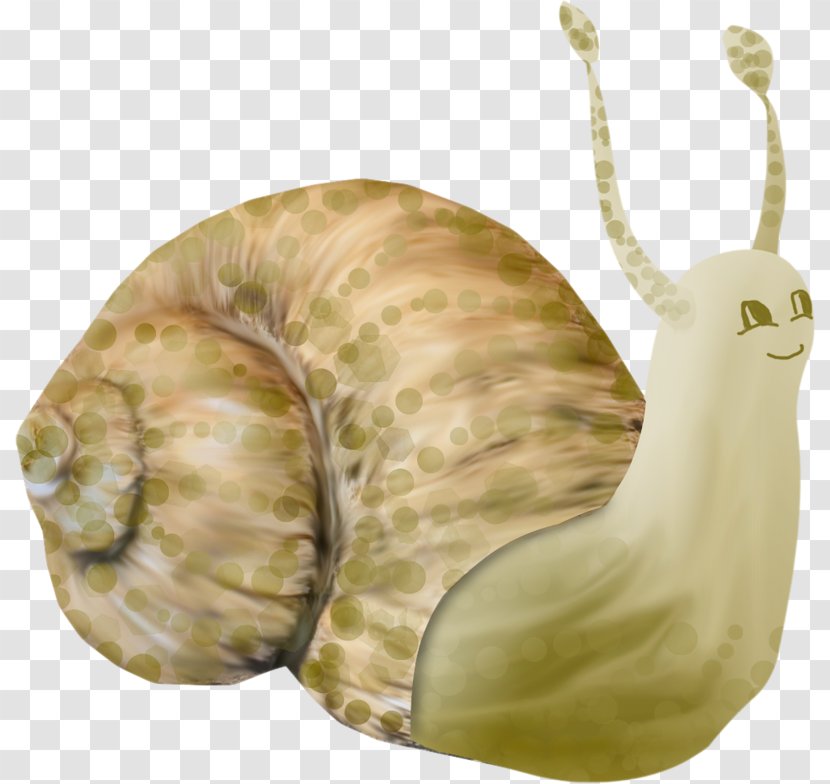 Snail Orthogastropoda Drawing - Hand-painted Cartoon Transparent PNG
