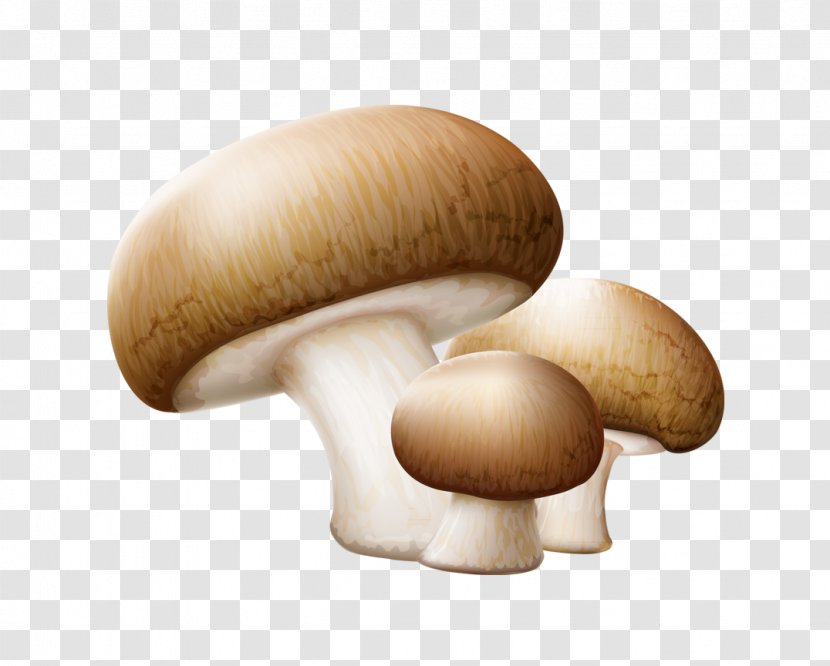 Common Mushroom Edible Clip Art - Agaricomycetes - Three Mushrooms Transparent PNG